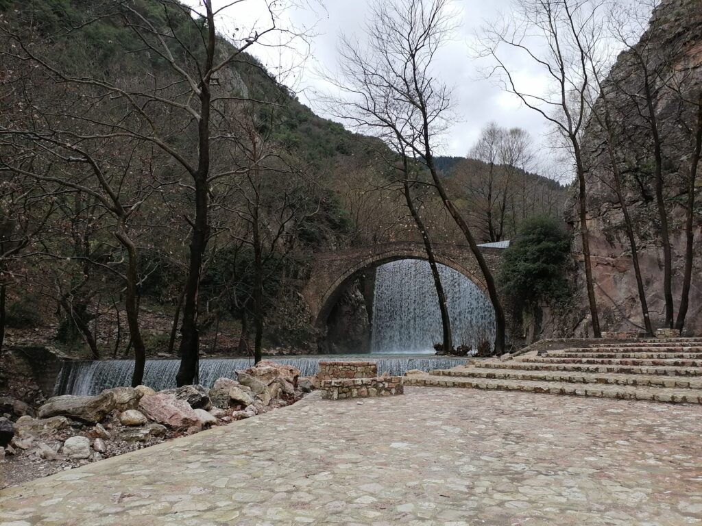 Παλαιοκαρυά χαρακτηριστική scaled 1 - Petrina Elatis